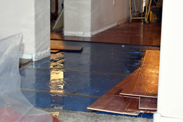 Professional Water Damage Restoration technician working in Rush Hill, MO